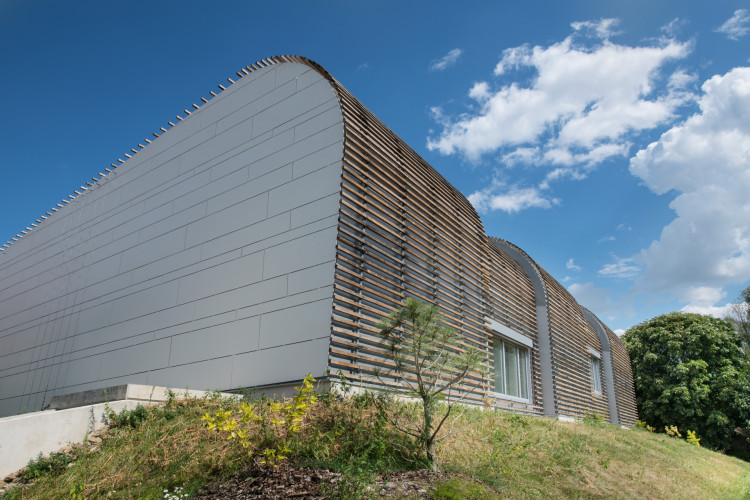 Školní tělocvična