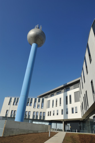 Národní ústav duševního zdraví